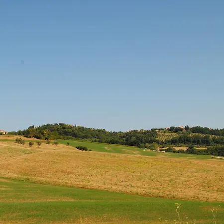 Lina - Podere Ribatti Casole d'Elsa